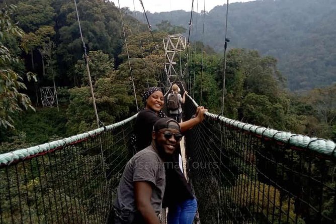 1 Day Canopy Walk Adventure in Nyungwe Forest National Park - Highlights of the Canopy Walk