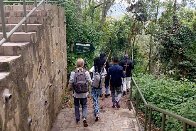 1 Day Canopy Walk Adventure in Nyungwe Forest National Park - Booking and Confirmation Details