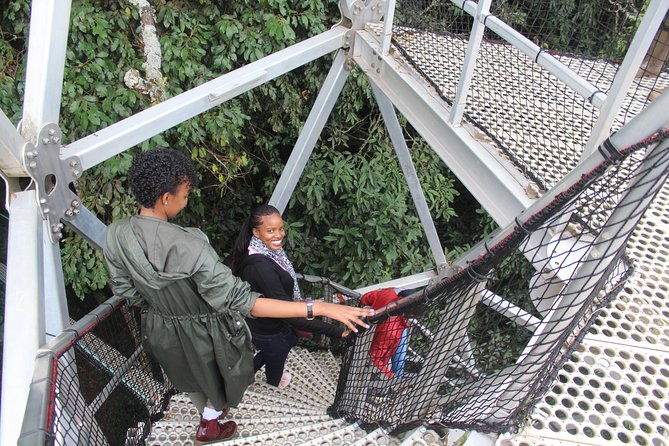 1 Day Canopy Walk Way in Nyungwe Natioinal Park - Tour Schedule and Options