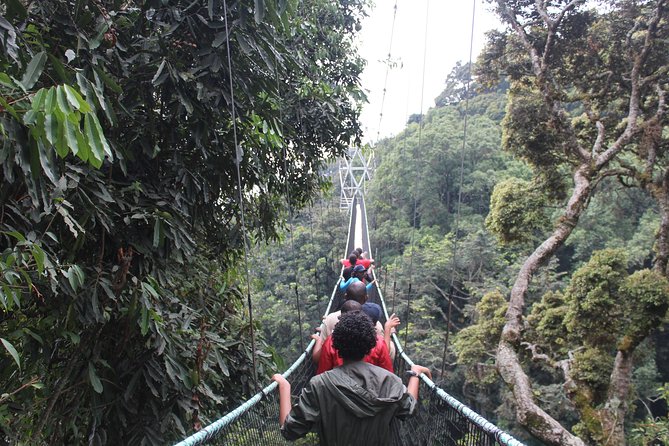 1 Day Canopy Walk Way in Nyungwe Natioinal Park - Health and Safety Guidelines