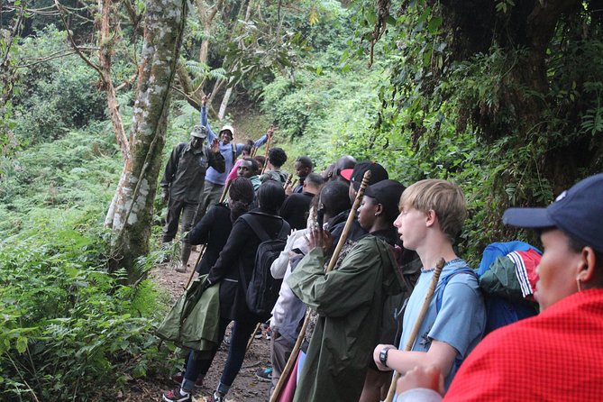 1 Day Canopy Walk Way in Nyungwe Natioinal Park - Accessibility and Recommendations