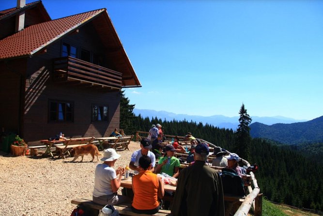 1 Day CARPATHIAN PEAKS & CHALETS Hike - Visiting Cabana Curmătura