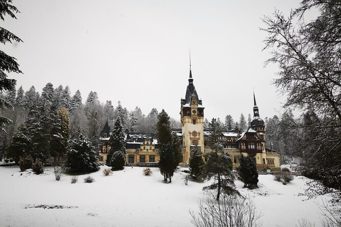 1 Day Castles Tour - Sinaia and Bran - Carpathian Mountain Views