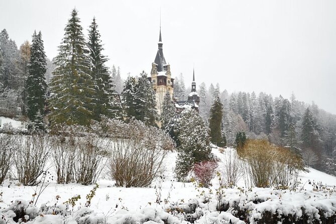 1 Day Castles Tour - Sinaia and Bran - Inclusions and Amenities
