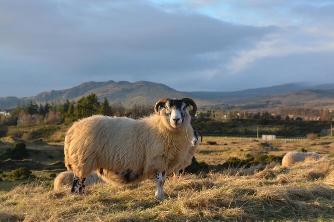 1-Day Castles, West Highlands and Loch Lomond Tour From Edinburgh - Castles and Landmarks