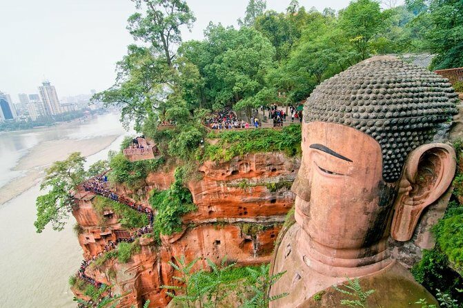 1-Day Chengdu Panda Base and Leshan Giant Buddha GROUP Tour - Key Points