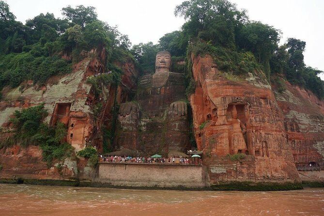 1-Day Chengdu Panda Base and Leshan Giant Buddha GROUP Tour - A Practical Guide to the Tour