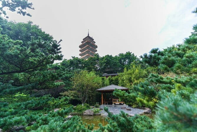 1 Day Chongqing Megacity Walking Tour - Transportation and Pacing