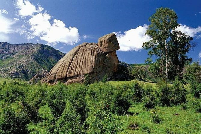 1 Day Coach Tour of Terelj National Park Including Lunch And Free Camel Ride - Authentic Experiences and Practical Details