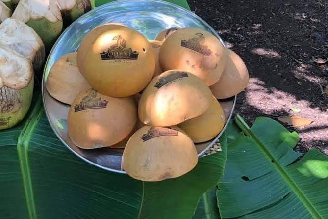 1 Day Cocoa Farm Tour - Inclusions
