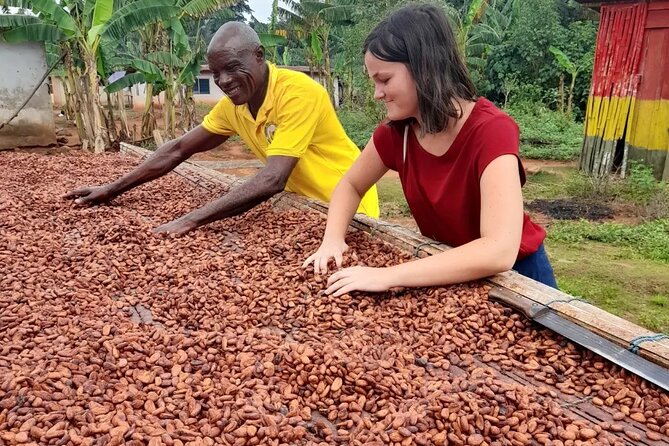 1 Day Cocoa Farm Tour - Pricing and Cancellation
