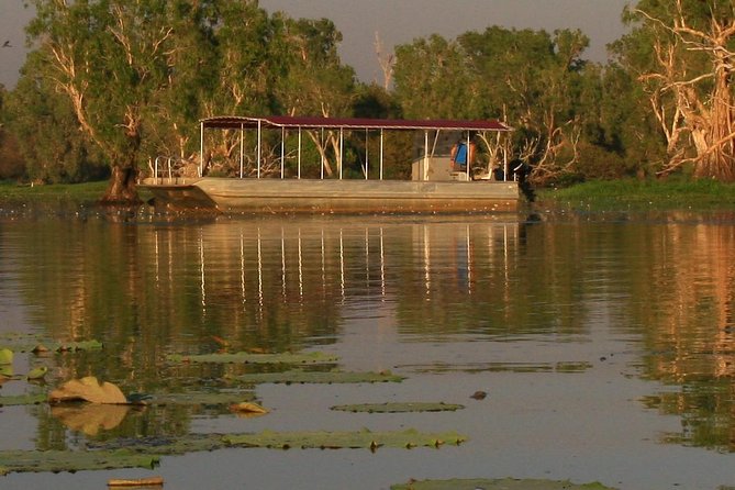 1 Day Corroboree Billabong Wetland Experience Including 2.5 Hour Cruise + Lunch - Abundant Bird Sightings
