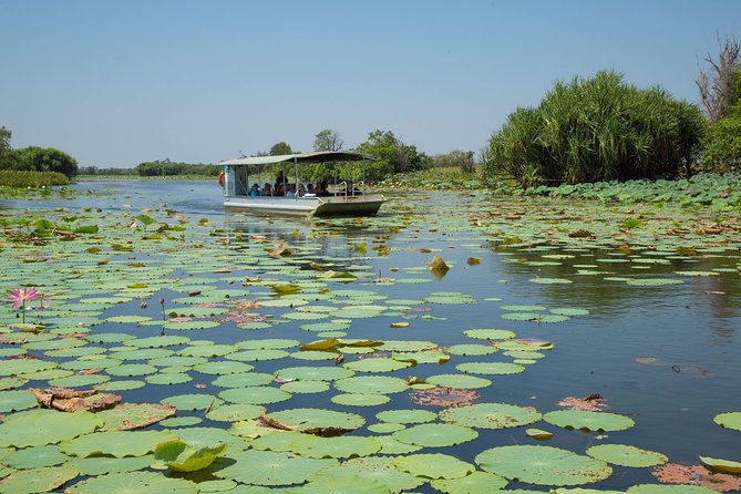 1 Day Corroboree Billabong Wetland Experience Including 2.5 Hour Cruise + Lunch - Positive Reviews and Accolades