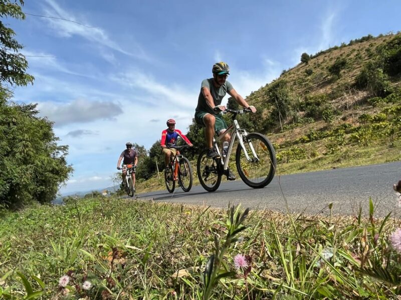 1 Day Cycling to Mui Ne From Dalat - Experience Highlights