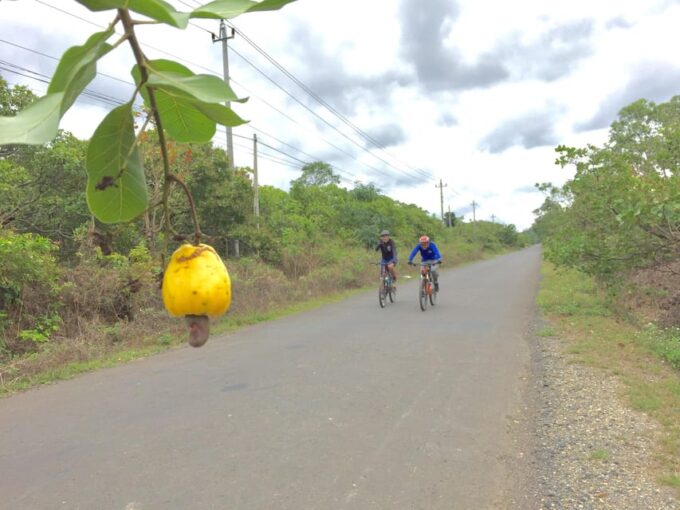 1 Day Cycling to Mui Ne From Dalat - Frequently Asked Questions