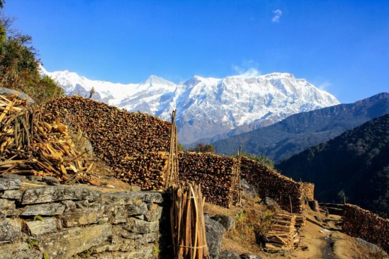 1 Day Dhampus Trek - Experienced Guides