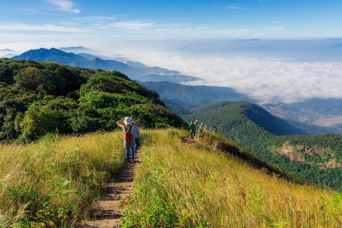 1 Day Doi Inthanon Private Tour ( Hiking and Sightseeing ) - Hiking in Doi Inthanon National Park