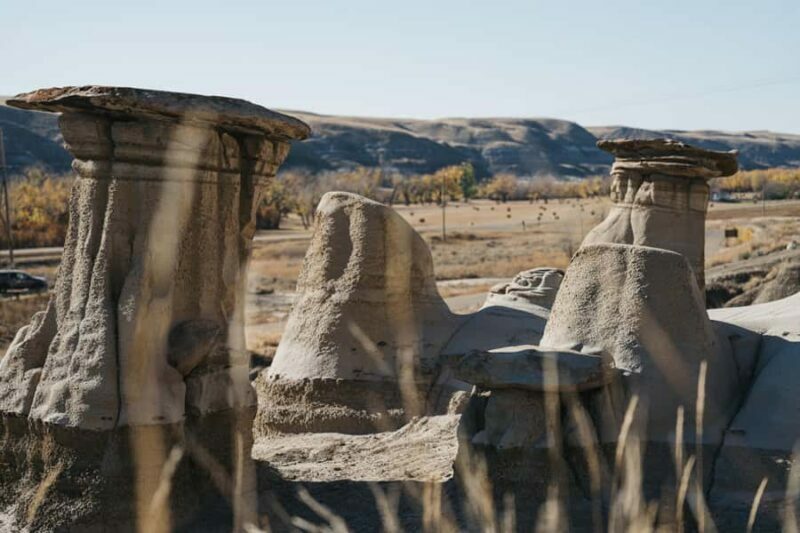 1 Day Drumheller Tour: Calgary to Hoodoos Dinosaurs Badlands - Authentic Experiences and What You’ll Take Away