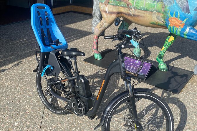 1 Day Electric Bike Rental in Solana Beach - Operator Information