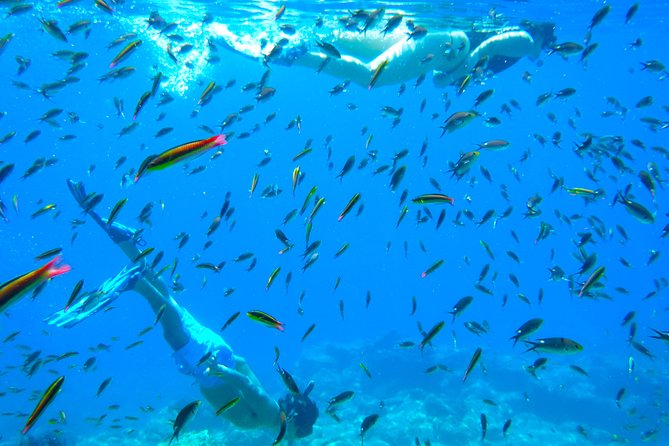 1 Day Espiritu Santo Island Wonders, Sea Lions and Paddleboard Adventure - Booking and Cancellation Policy
