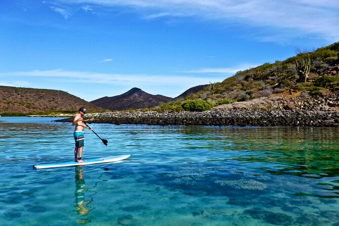 1 Day Espiritu Santo Island Wonders, Sea Lions and Paddleboard Adventure - Vibrant Marine Ecosystem