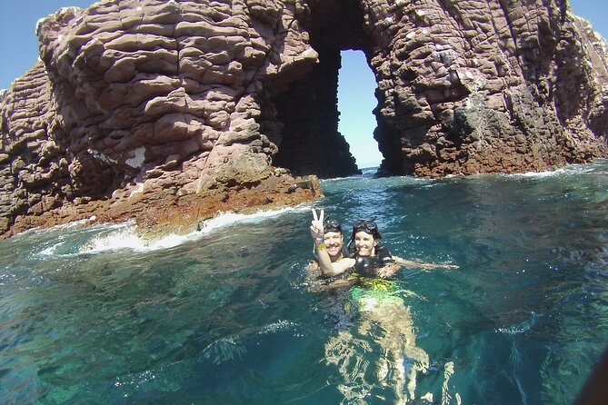 1 Day Espiritu Santo Island Wonders, Sea Lions and Paddleboard Adventure - Snorkeling With Sea Lions