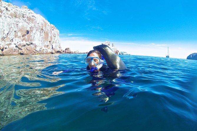 1 Day Espiritu Santo Island Wonders, Sea Lions and Paddleboard Adventure - Paddleboarding in Turquoise Waters