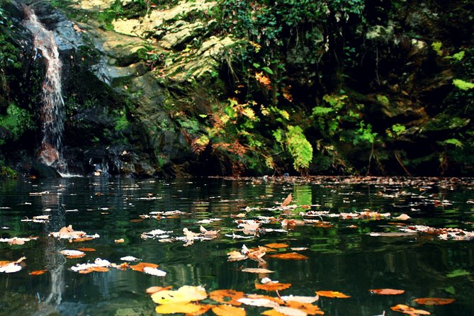 1 Day Excursion Nature and Archeology Bulla Regia and Beni Mtir From Tunis - Comfortable Ground Transfers