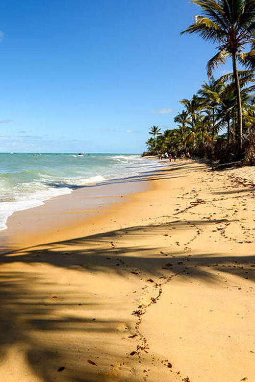 1-Day Excursion to Cumbuco Beach - Activities Offered