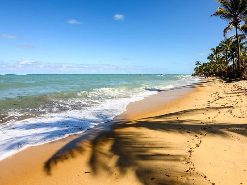 1-Day Excursion to Cumbuco Beach - Pickup and Drop-off Options