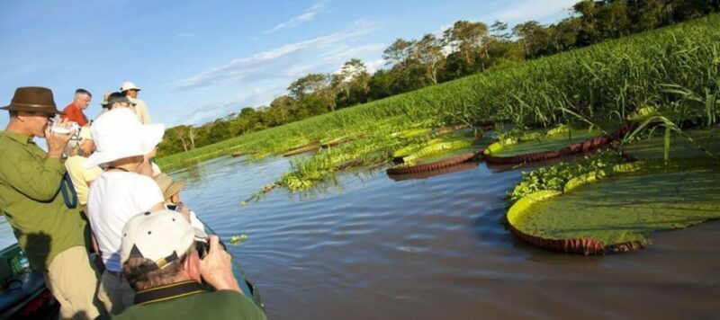 1 Day Excursion to Pacaya Samiria Reserve |Piranha Fishing| - Itinerary Highlights
