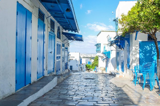 1 Day Excursion to Tunis, Sidi Bousaid, and Carthage, Departing From Sousse - Key Points