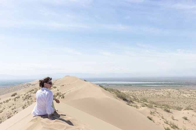 1 Day Express Tour: Altyn Emel National Park - Highlights and Experiences