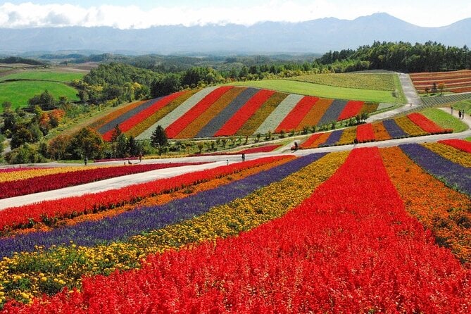 1 Day Fascinating Asahidake and Biei Discovery Tour in Hokkaido - Exploring Asahidake