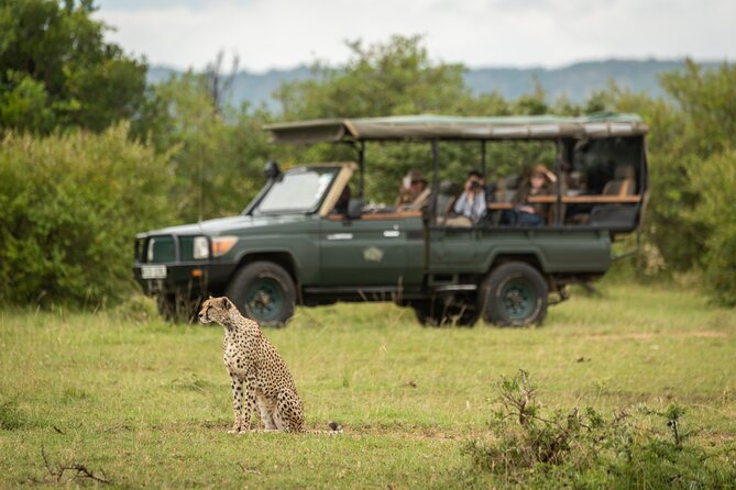 1-Day Fly in Safari to Mikumi National Park From Zanzibar - Safari Highlights