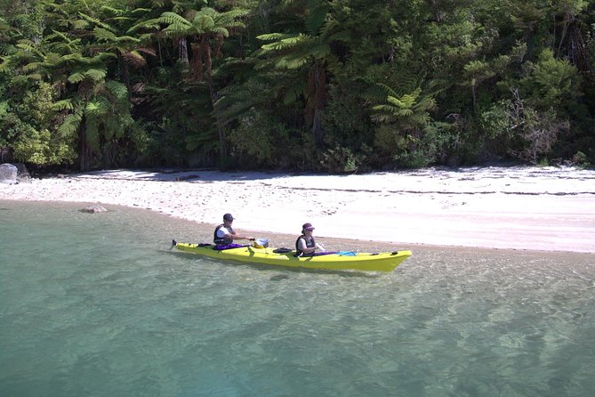 1 Day Freedom Rental - Lunch Included