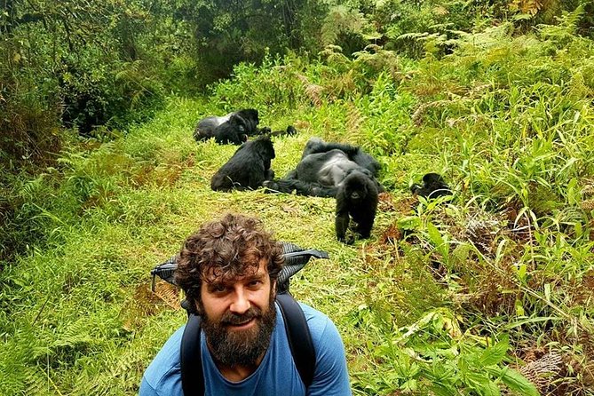 1 Day Gorilla Trekking Uganda - Meeting and Pickup Details
