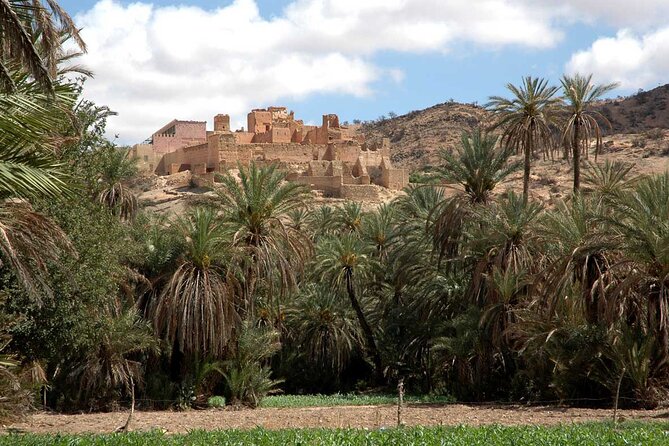 1 Day Guided Tour to Tiout Tarodant From Agadir - Health and Accessibility