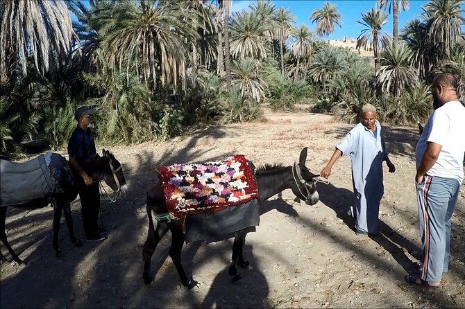 1 Day Guided Tour to Tiout Tarodant From Agadir - Traveler Testimonials