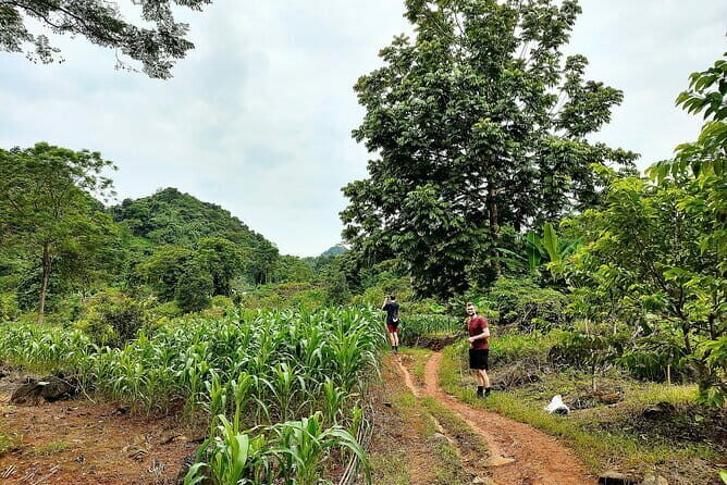 1 Day Ha Giang Loop Tour by Motorbike with Easy Rider - Loopers - Summary: Who Will Love This Tour?