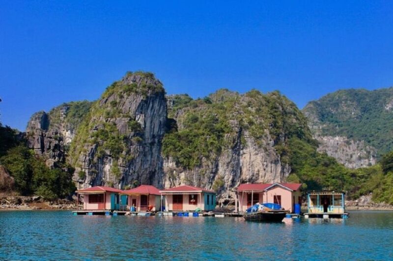 1-Day Halong Bay Cruise/Bus/Lunch/Entrance Fees - Water Activities