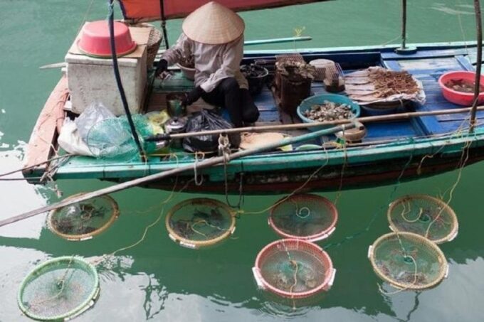 1-Day Halong Bay Cruise/Bus/Lunch/Entrance Fees - Frequently Asked Questions