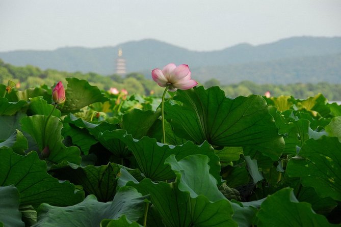 1 Day Hangzhou Private Tour - Tour Experience