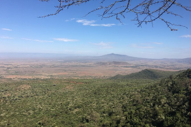 1 Day Hells Gate Biking Safari - Additional Information