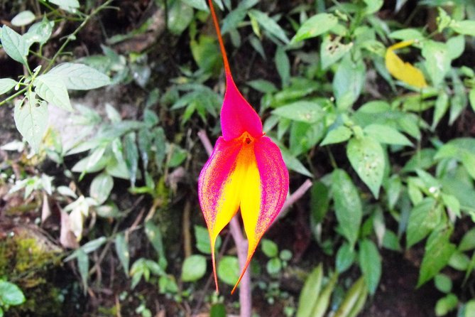 1 Day Hike on the Inca Trail + 1 Day in Machupicchu: Private 2 Days Tour - Additional Tour Details