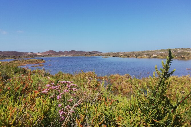 1 Day Hiking Adventure in Isla Lobos - Traveler Feedback and Ratings