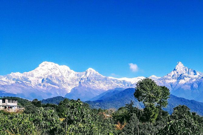 1 Day Hiking Austrian Camp & Dhampus - Itinerary and Duration