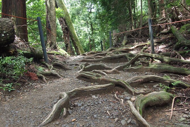 1 Day Hiking Tour in the Mountains of Kyoto - Moderate Physical Fitness