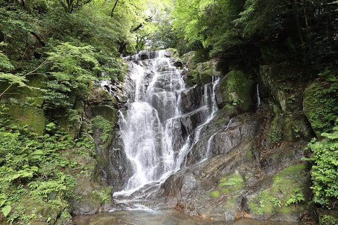 1 Day Itoshima Tour - Key Points