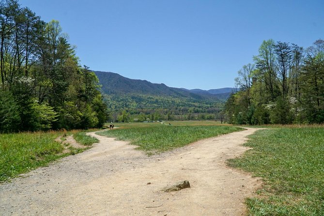 1 Day Jeep Rental Through the Smoky Mountains - Accessibility and Transportation